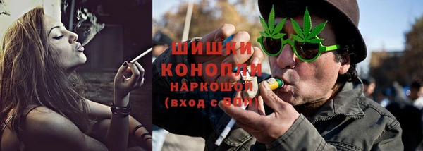 PSILOCYBIN Аркадак