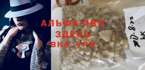 PSILOCYBIN Аркадак