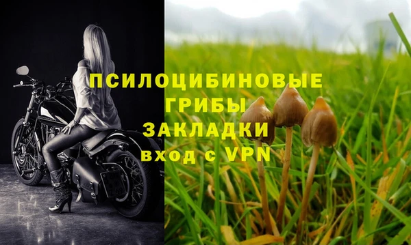 прущие крисы Арсеньев